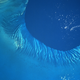 Illustration for article titled Tongue of the Ocean